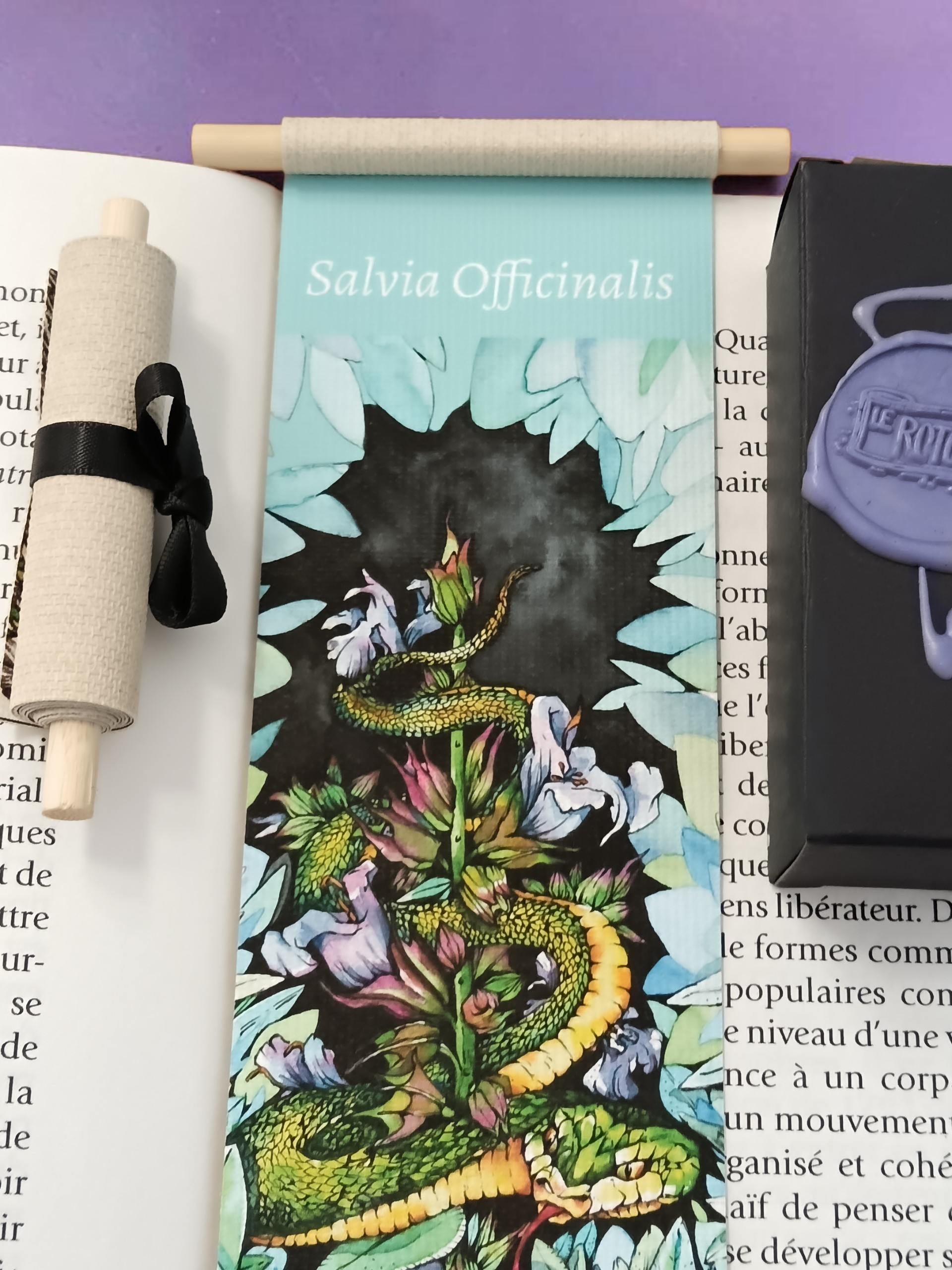 Salvia